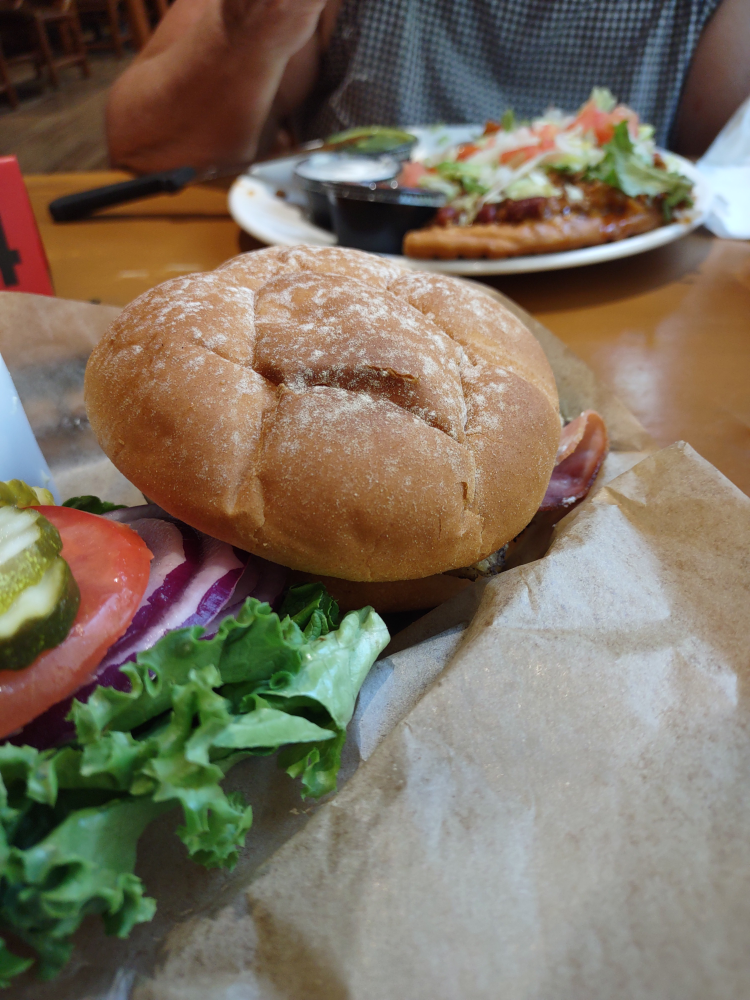 I had the buffalo burger.