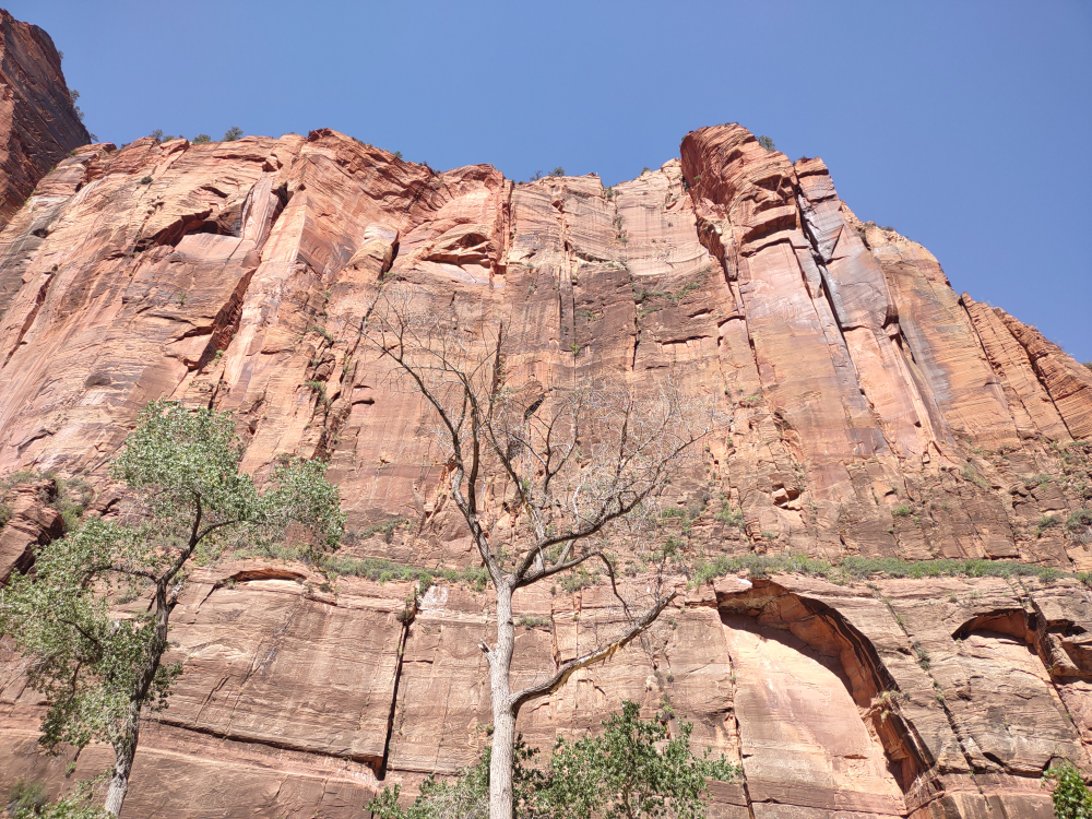 Further up the canyon.