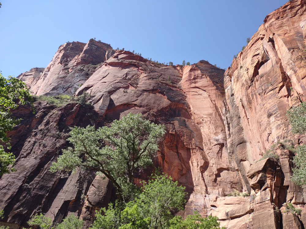 We went on the trail towards the narrows.