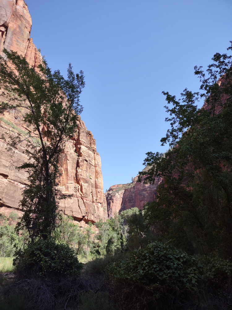 Looking up the canyon.