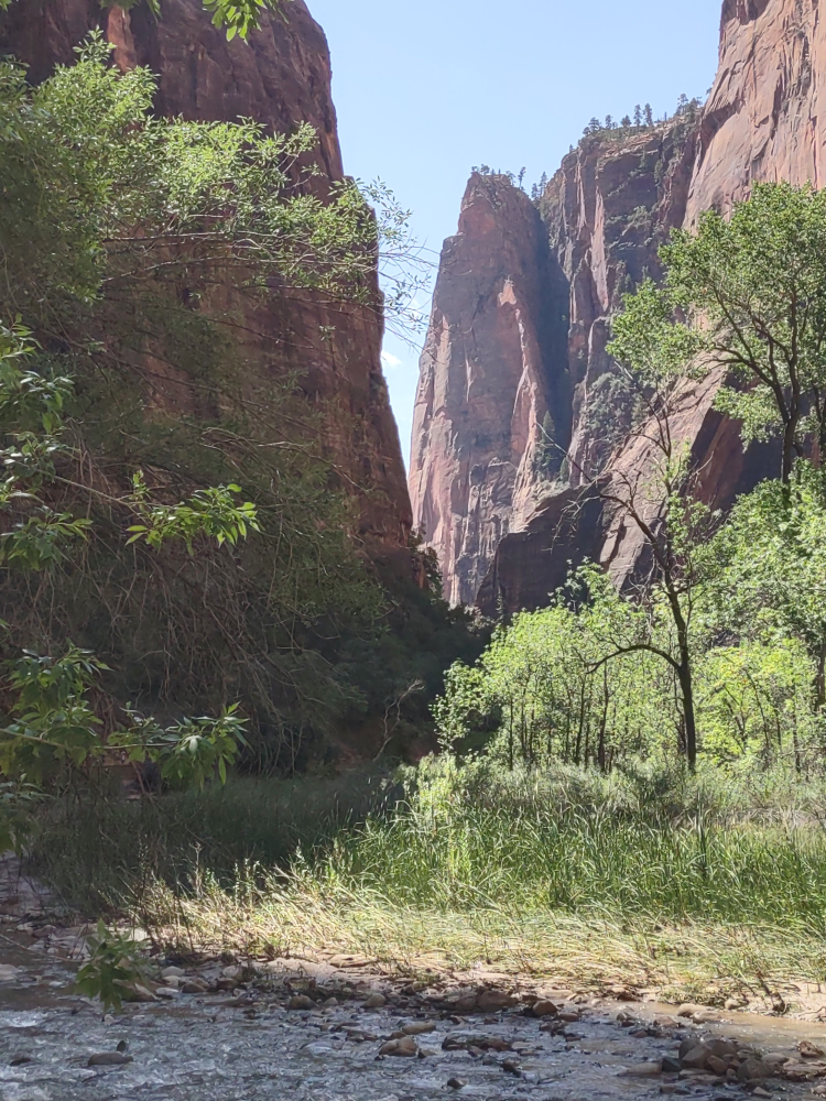 Going back. We decided to have lunch at the Zion Lodge so we turned back.